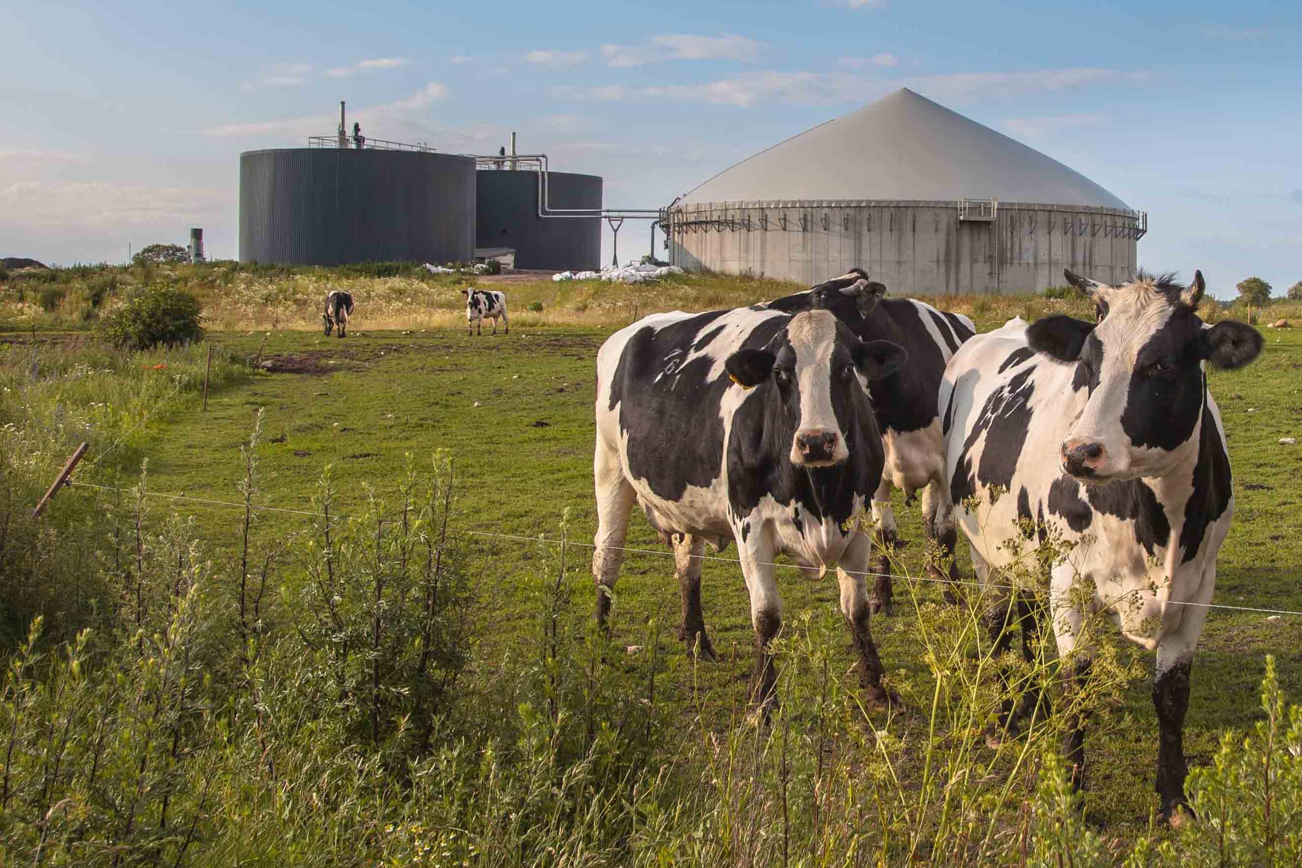 Dairy Digester RNG Facility